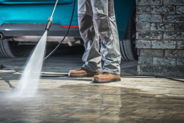 Best Gutter Cleaning  in Roebuck, SC