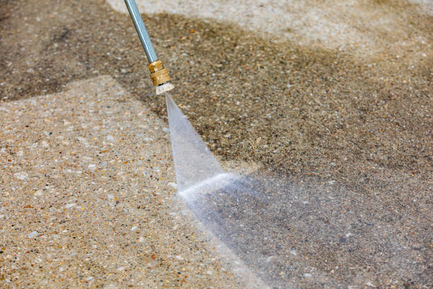 Animal Enclosure Cleaning in Roebuck, SC